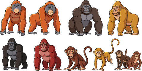 Ape and monkey cartoon vector set. Cute gorillas, orangutans, and monkeys in multiple poses. Jungle wildlife character collection, isolated on white background. © JOSNA 
