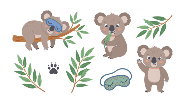 Cute koala character sleeping and eating eucalyptus leaves set