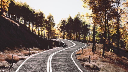 Obraz premium A tranquil road curves gently through a beautiful landscape filled with vibrant autumn trees. Rays of sunlight filter through the branches, creating a warm atmosphere.