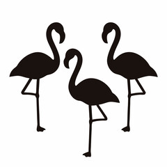 Naklejka premium Three Black Flamingo Silhouettes Standing Tall on a White Background