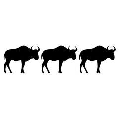 Fototapeta premium Three Wildebeest Silhouette on White Background, Wildlife and Nature Scene