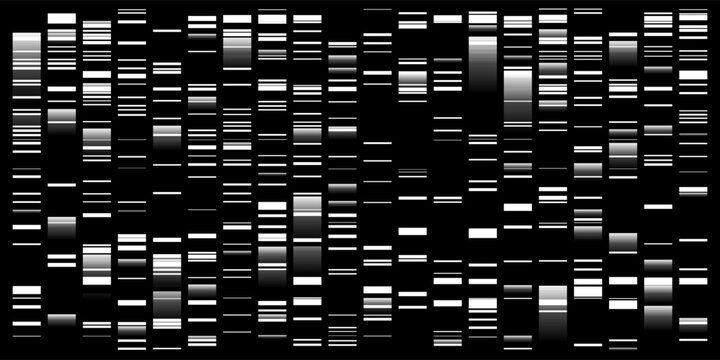 Dna sequence data map. Lab analytic electrophoresis on gel. PCR of deoxyribonucleotide parts. Gene research illustration. Virus investigation. Bw scientific bg