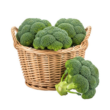 A wicker basket overflowing with vibrant green broccoli florets including one outside on transparent background