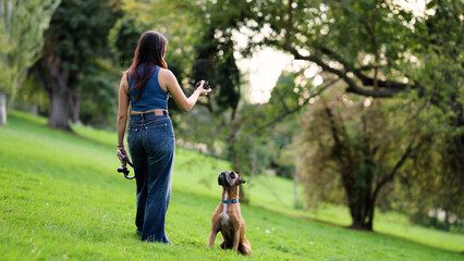 Woman playing with her pet dog, a boxer breed, training outdoors in a green park environment enjoying companionship