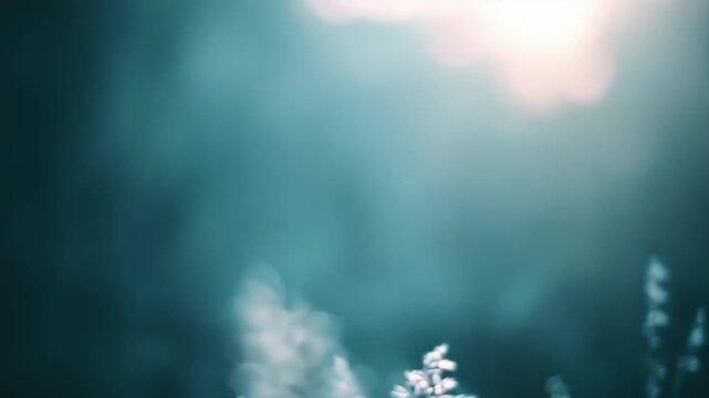 Wild grass backlit by warm sunlight, glowing blades and soft bokeh creating a tranquil, dreamlike summer scene of nature, texture, and peaceful morning light