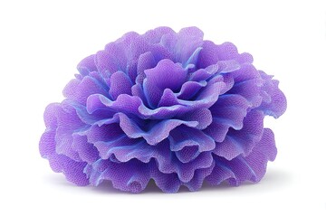 Vibrant purple flower isolated on white background