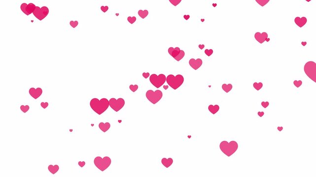 Red Heart Falling background Animation on transparent Background,numerous falling red hearts motion graphic video animation,heart particle effect for Valentines Day,wedding,love, marriage ,anniversary