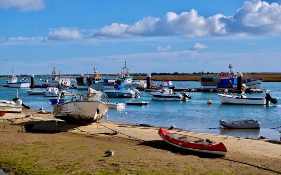 Fishing boats  in the Ria Formosa near Santa Luzia, a small town in the Algarve that calls itself " The Octopus Capital", Santa Luzia, Algarve, Portugal