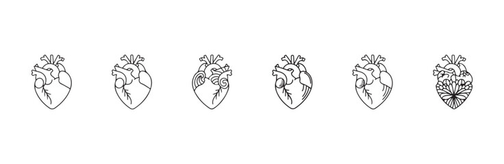 Obraz premium Line art anatomical heart icons set with various creative internal organic and floral decorations