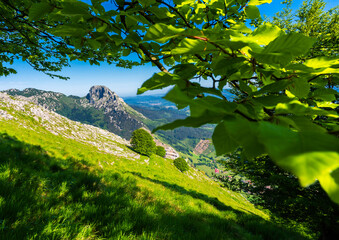 Miradas a traves de las hayas hacia el monte Mugarra, Duranguesado