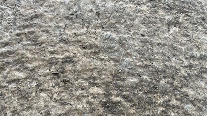 Abstract texture of a rough gray surface