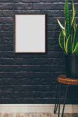 Modern Botanical Poster Setup, City Loft Styled Backdrop With Tall Snake Plant And Textured Background