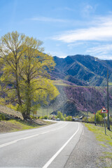 Small settlement Maly Yaloman on the bank of Katun River Altai Russia. Rural village nestled in Siberian mountain river valley.