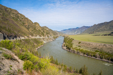 Katun River surrounded by mountains in Chuysky Trakt Altai Russia. Scenic Siberian river flowing through rugged mountain landscape.