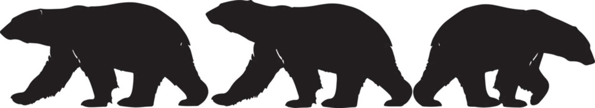 Three black bear silhouettes walking in a row on a white background also transparent background 2