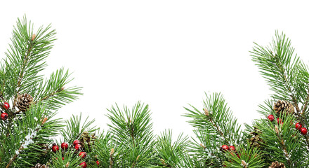 Fresh Pine Branches with Cones and Berries Festive Holiday Border Design isolated on transparent background