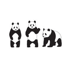 Fototapeta premium Panda Silhouette Vector Set Panda Standing and Sitting Silhouette Black and White Panda Vector Illustration Set