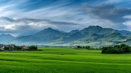 Scenic view of lush green rice fields with majestic mountains under a dramatic sky in a rural landscape, ideal for nature and travel themes