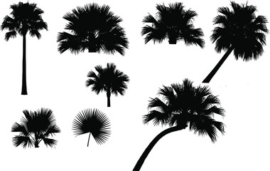 Set of black palm tree silhouettes tropical nature illustration © Saiful Islam