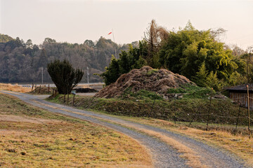 道路脇に集積された枝葉の山