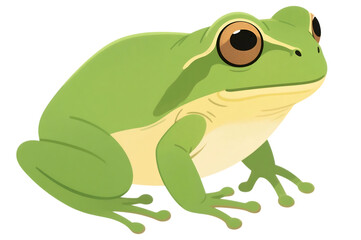 Fototapeta premium Illustration of a green tree frog