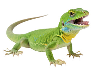Obraz premium Green lizard with open mouth