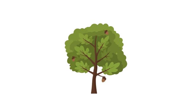 Lush Green Tree Swaying in the Wind Animation
