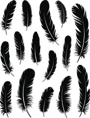 Feather silhouette collection, black and white bird plumage illustration set, decorative avian vector elements, isolated natural design bundle artwork assets