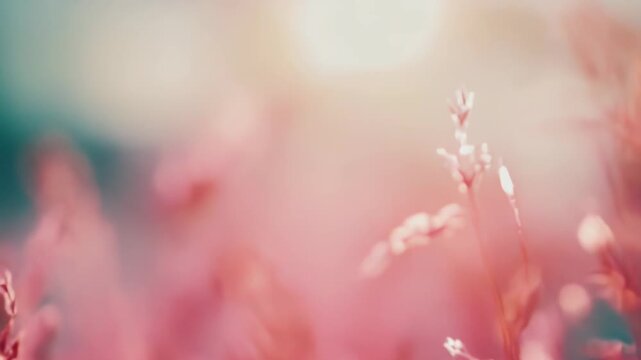 Delicate grass stems sway in soft light, creating dreamy pastel bokeh and a serene, ethereal meadow backdrop perfect for banners, wallpapers, and tranquil designs
