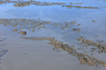 Muddy flooded rice paddy surface with soil texture and plow marks. Agricultural land preparation, rural farming background and natural texture