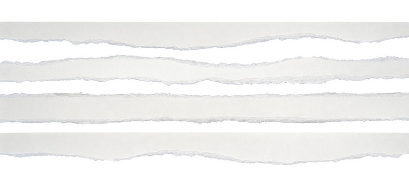 Torn paper strips on transparent background for design and decoration