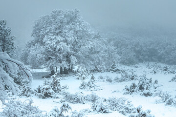 Beautiful landscape in Sirente Velino Park in winter