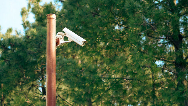 Security camera mounted on pole surrounded by green trees in outdoor setting