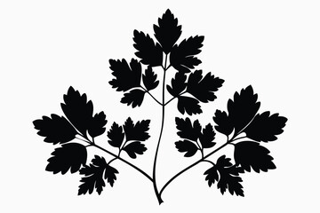 chervil silhouette line art vector illustration