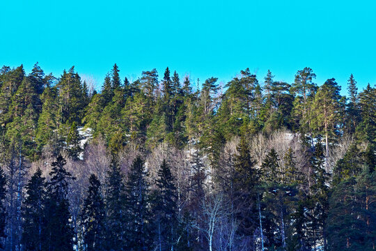 Falken Forest Reserve in the Skreiafjella Mountains, Norway, January 2026.