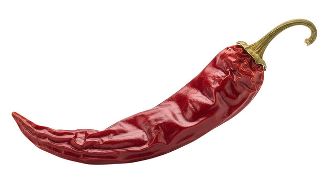 Red dried chili pepper isolated on transparent background with curved stem and vibrant color detail