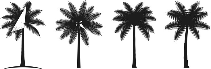 Obraz premium Palm tree silhouettes, tropical palm collection, black white nature icons, exotic summer beach illustration set, minimalist vector design, isolated, printable