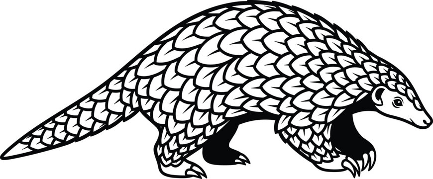 Pangolin illustration black white wildlife animal, detailed scaled mammal line art isolated on white background vector design