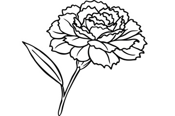 carnation flower silhouette line art vector illustration