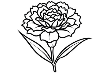 carnation flower silhouette line art vector illustration