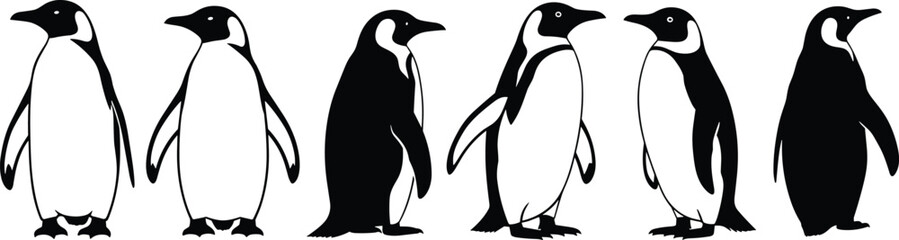 Penguin silhouette collection in different poses, arctic bird vector illustration set, cute antarctic animals isolated on white background design