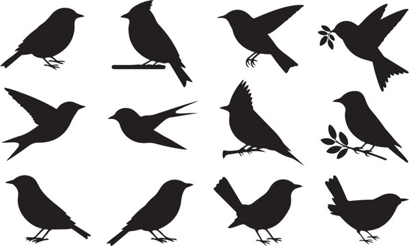 Twelve black silhouettes of various birds in different poses on a white background Keywords: bird, silhouette, black, white background, flying, perched, standing, wings spread, holding branch
