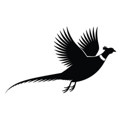 Obraz premium Silhouette of a pheasant in flight against a white background