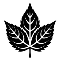 Stylized leaf silhouette
