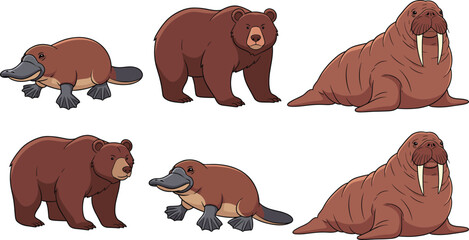 Fototapeta premium Wild animal cartoon vector set. Brown bear, platypus, and walrus characters in different poses. Wildlife mammal illustration collection, isolated on white background.