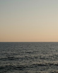 Obraz premium Expansive View of Ocean Horizon During Dusk with Gentle Waves and Soft Sky Colors