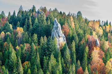 A rock in the middle of the forest. Stunning mountain landscape with evergreen forest and...
