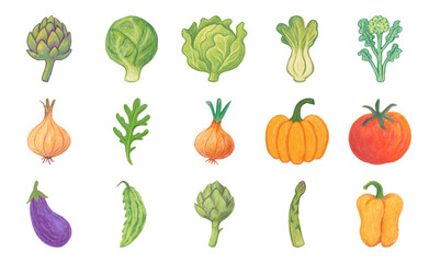 Fototapeta premium Colorful hand-drawn vegetable illustrations