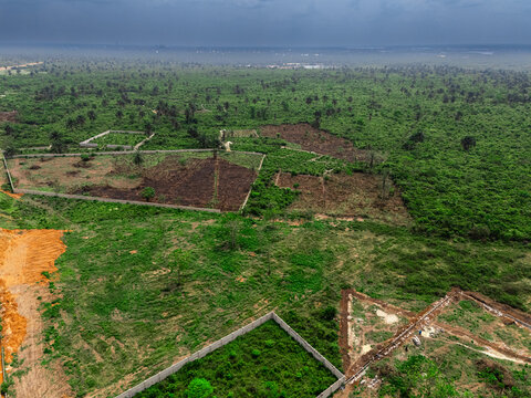 Aerial view of green vegetation interspersed with patches of brown earth, showcasing a blend of nature and development, Port Harcourt, Rivers, Nigeria.