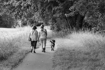 Fototapeta premium Two women walking a dog on a path
